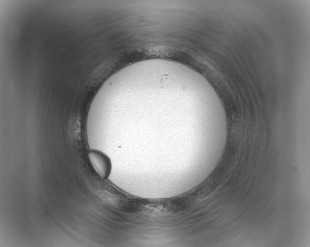 X0000073870502200608312056