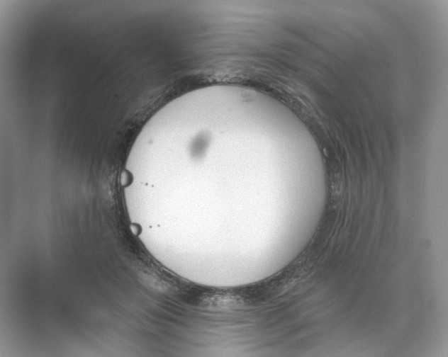 X0000073870503200608312056