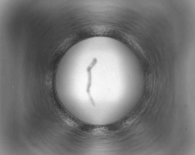 X0000073870505200608312056