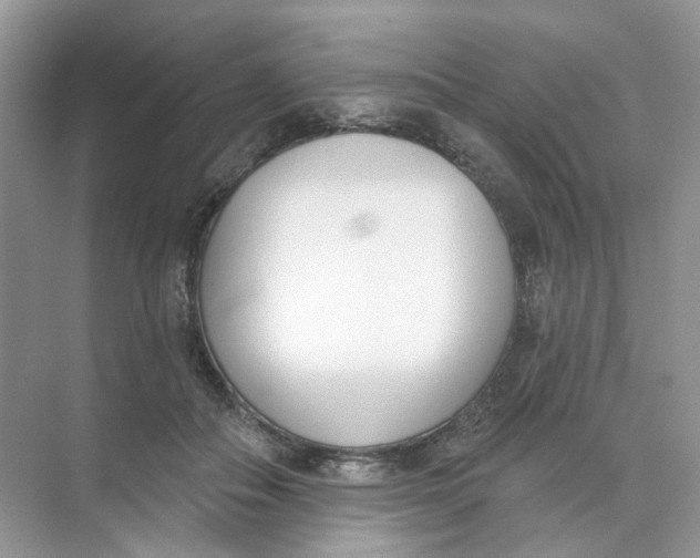 X0000073870506200608312056