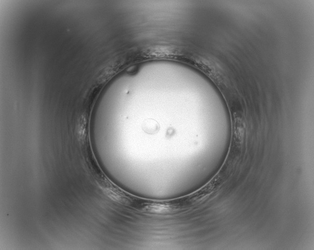 X0000073870507200608312056