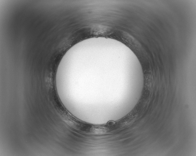 X0000073870510200608312056