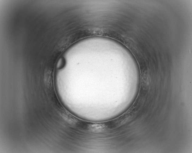 X0000073870511200608312056