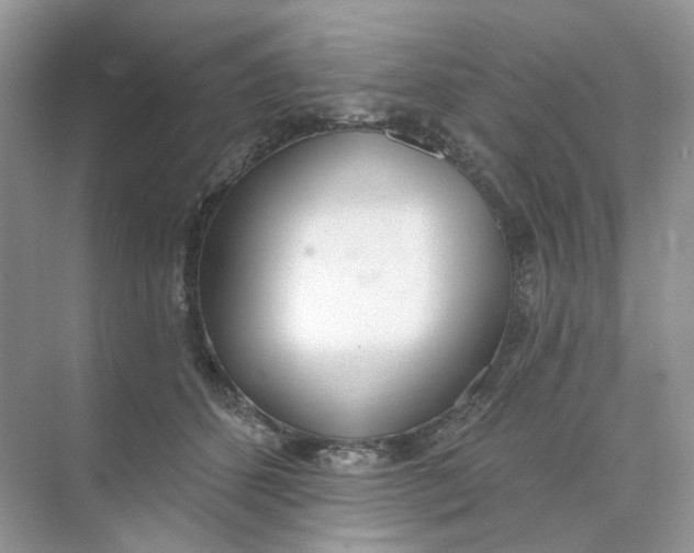 X0000073870512200608312056