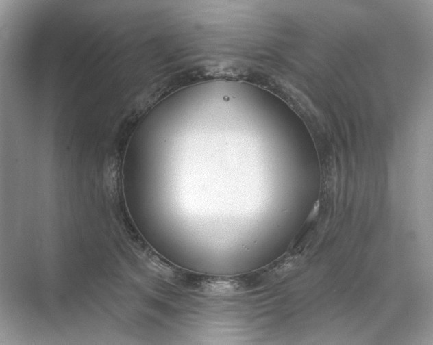 X0000073870513200608312056