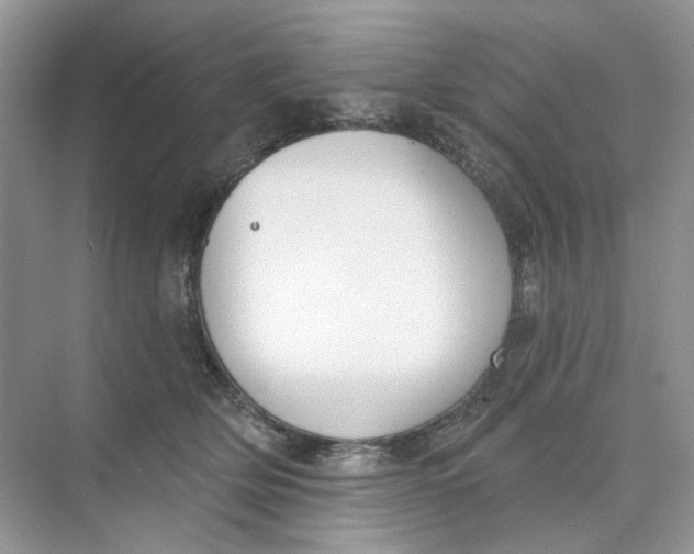 X0000073870514200608312056