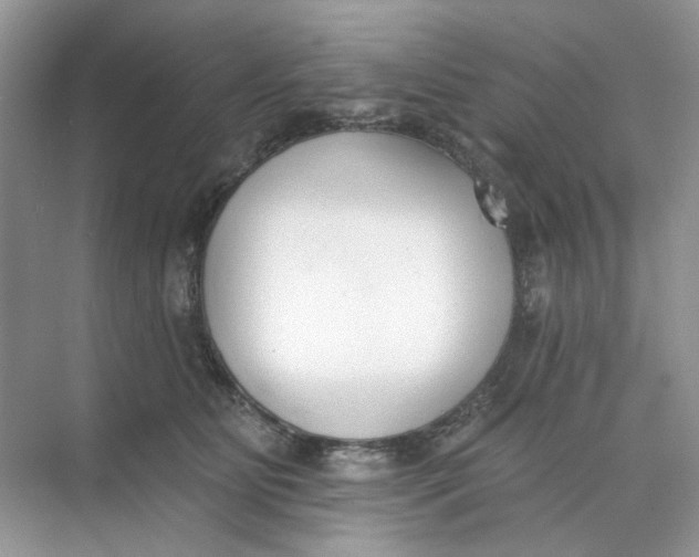 X0000073870515200608312056