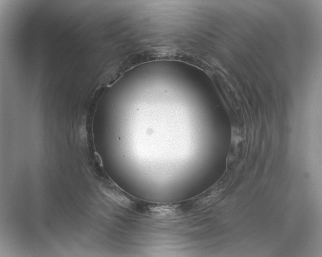 X0000073870516200608312056