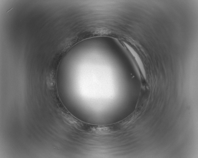 X0000073870517200608312056