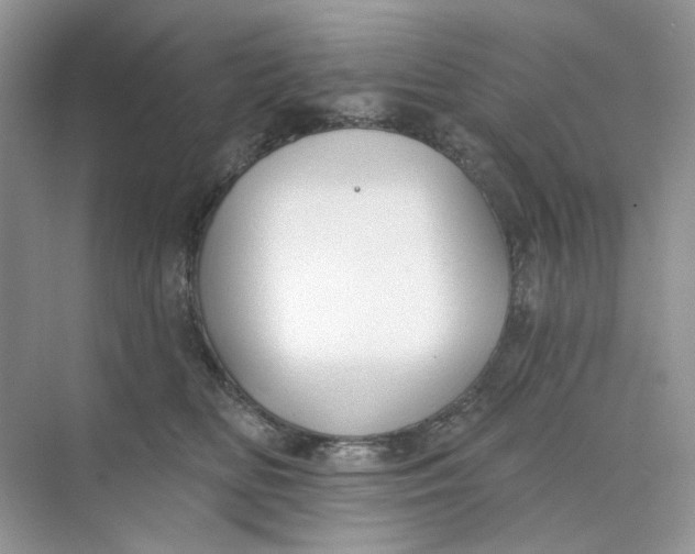 X0000073870518200608312056