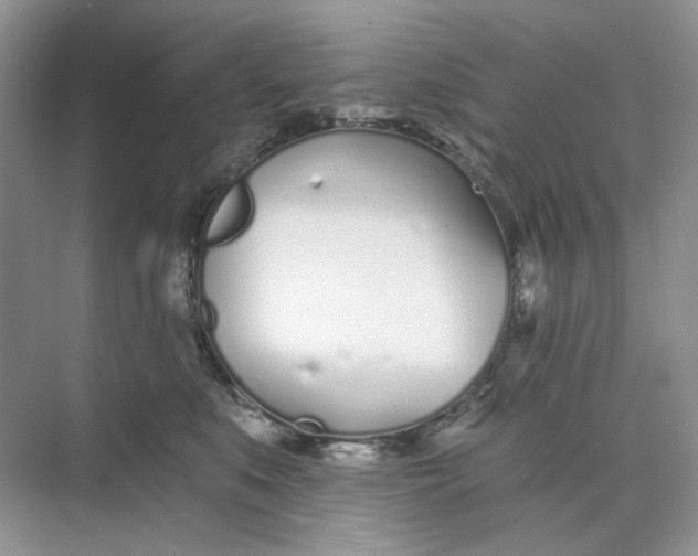 X0000073870519200608312056