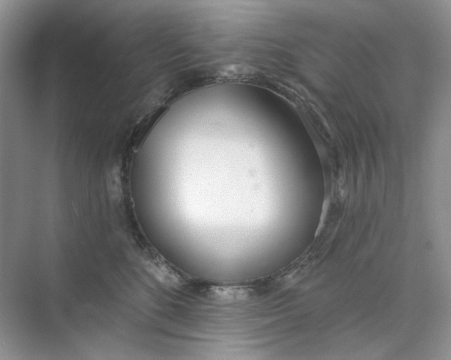 X0000073870520200608312056