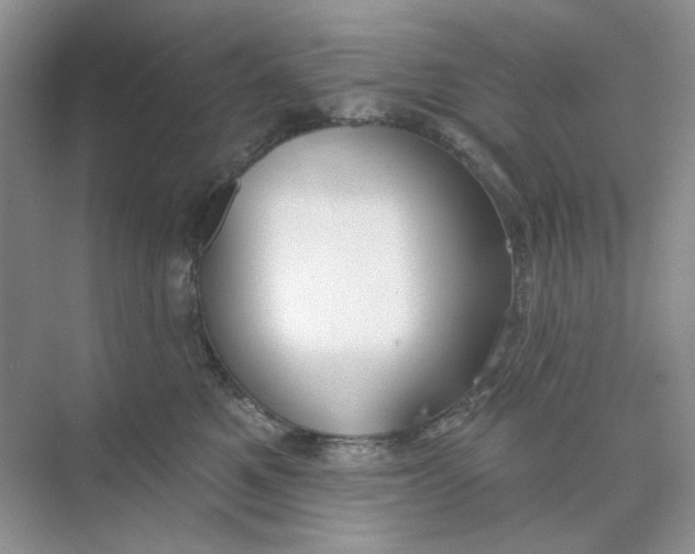 X0000073870521200608312056