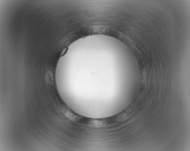 X0000073870522200608312056