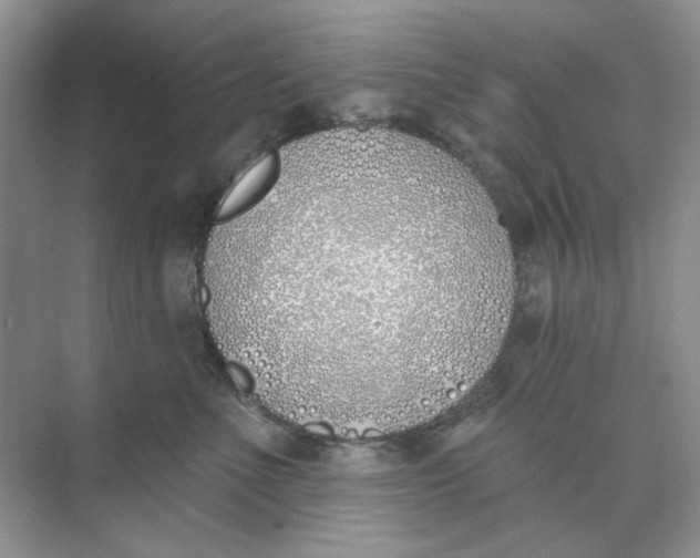 X0000073870523200608312056