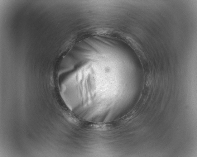 X0000073870524200608312056