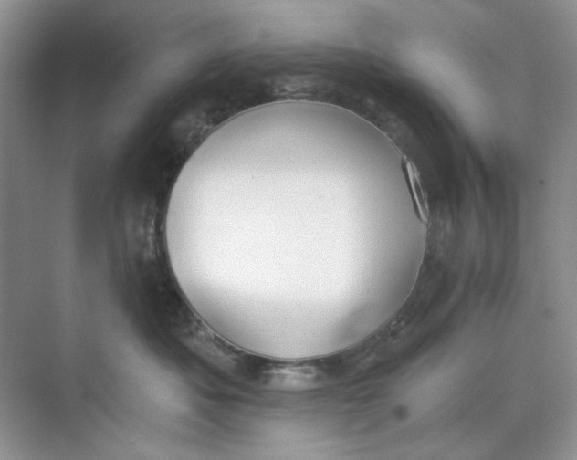 X0000073870525200608312056