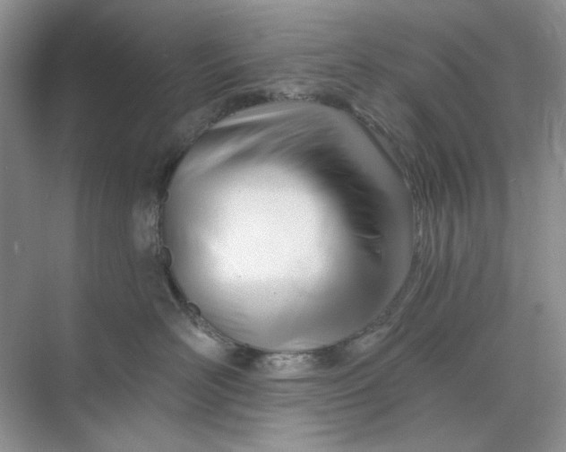 X0000073870526200608312056