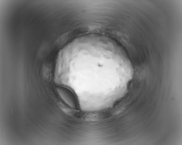 X0000073870527200608312056