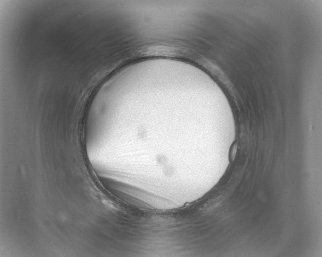 X0000073870529200608312055