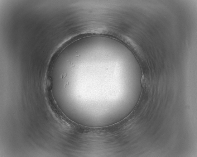 X0000073870532200608312055