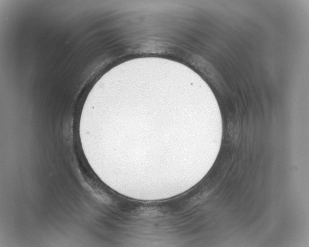 X0000073870534200608312055