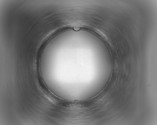 X0000073870535200608312055