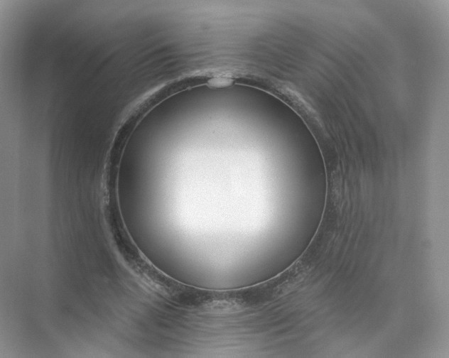 X0000073870536200608312055