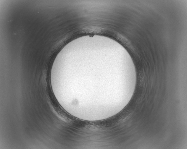 X0000073870538200608312055