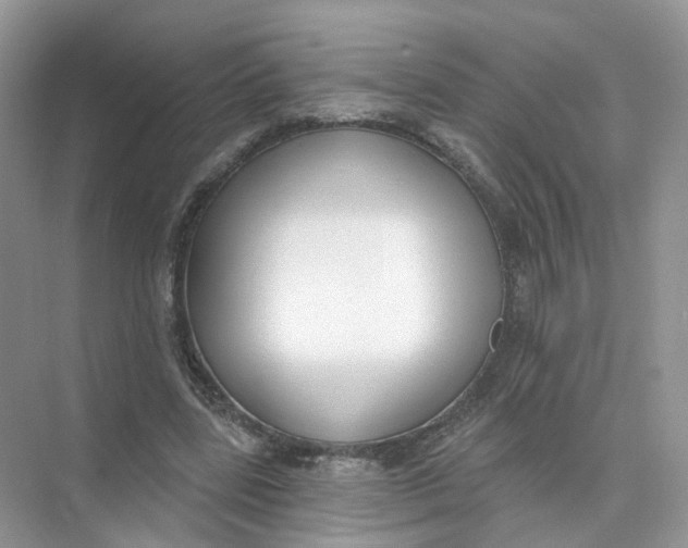 X0000073870539200608312055