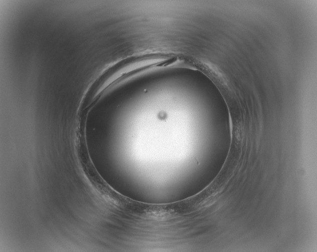 X0000073870540200608312055