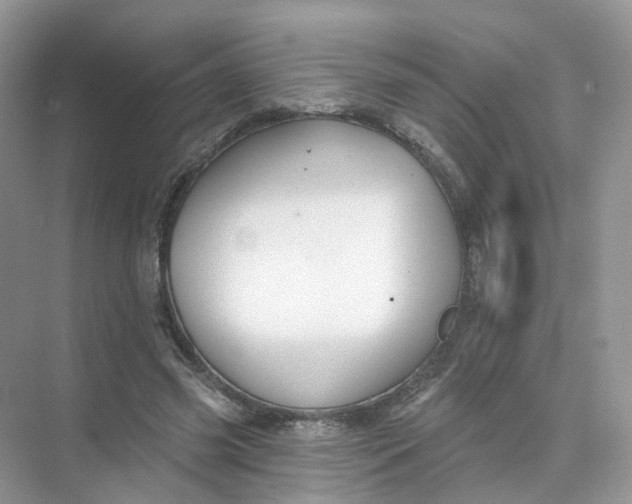 X0000073870541200608312055