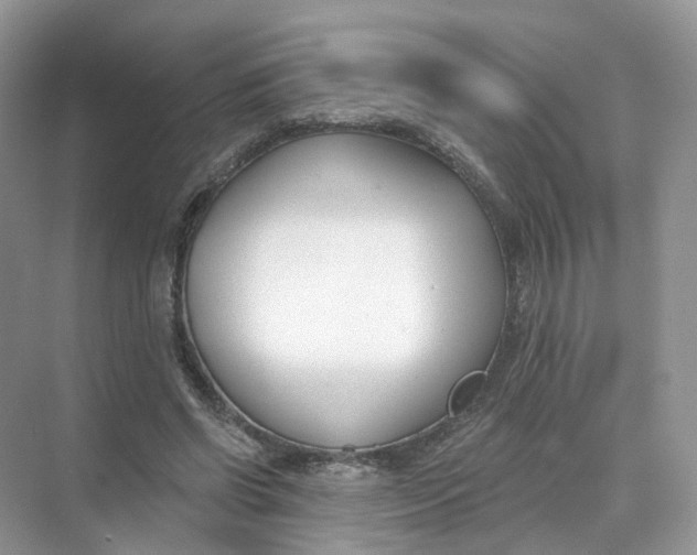 X0000073870542200608312055