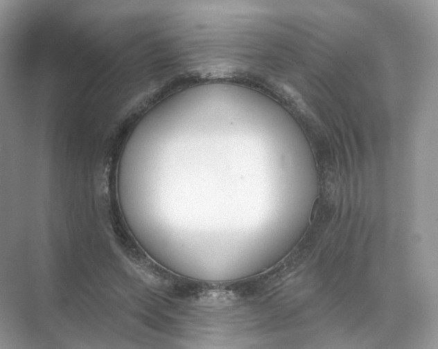 X0000073870543200608312055