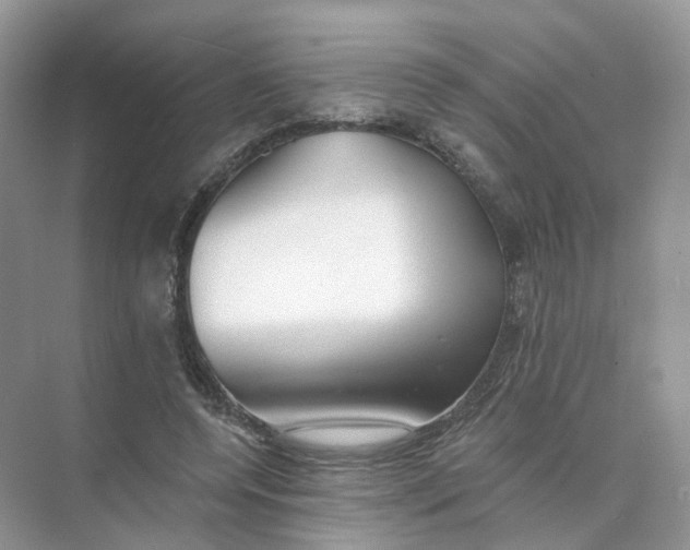 X0000073870544200608312055