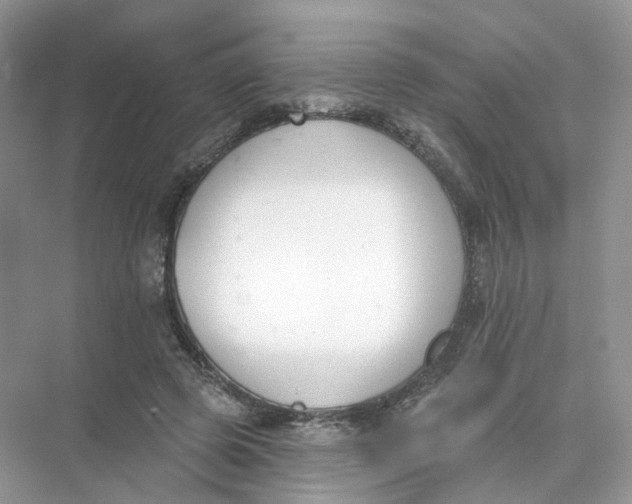 X0000073870545200608312055