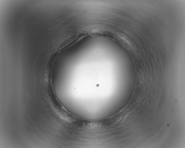 X0000073870546200608312055