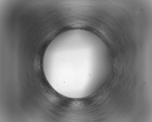 X0000073870547200608312055