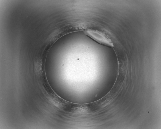 X0000073870548200608312055