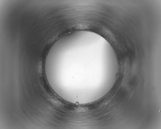 X0000073870549200608312055