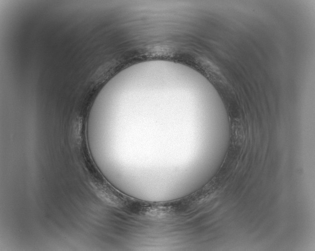 X0000073870550200608312055