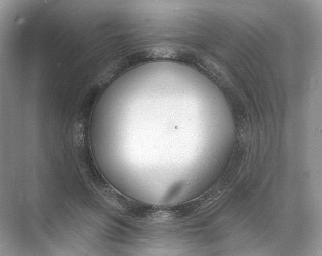 X0000073870551200608312055