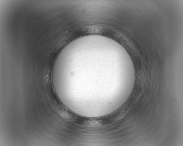 X0000073870553200608312055