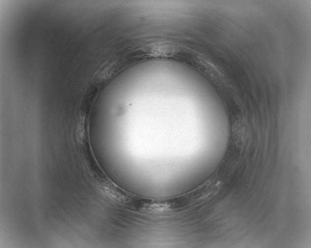 X0000073870554200608312055