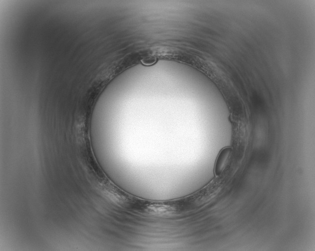 X0000073870557200608312055