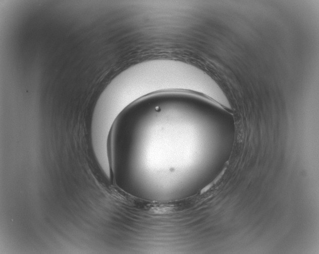 X0000073870560200608312055