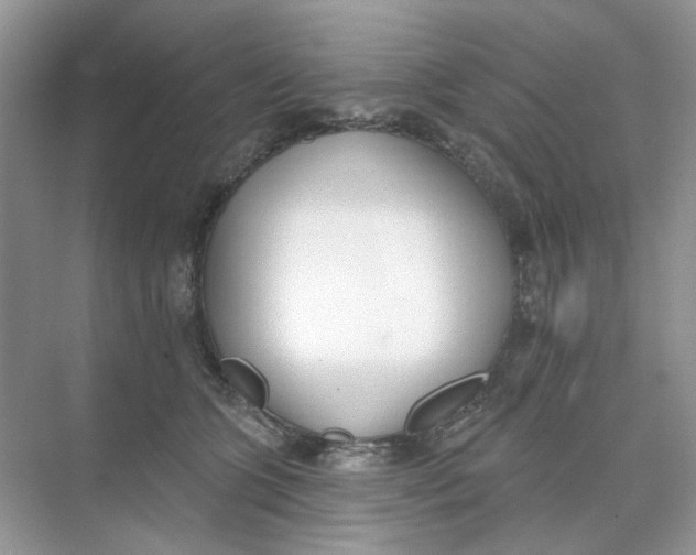 X0000073870563200608312055