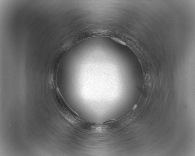 X0000073870564200608312055