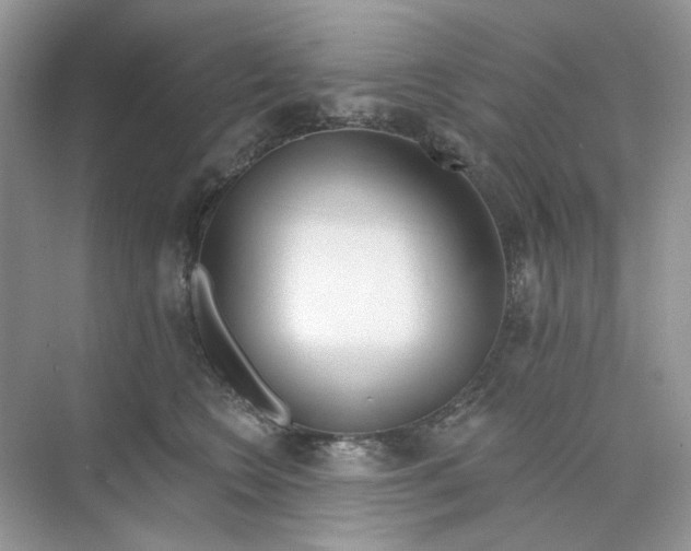 X0000073870566200608312055