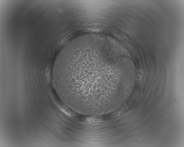 X0000073870568200608312055